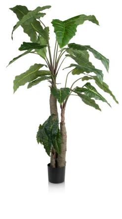 Clearance XOOON Alocasia Giant Tree H180cm kunstplant in de kleur Groen