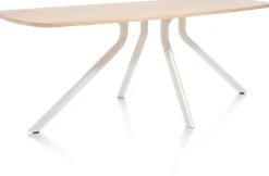 Discount XOOON ARVADA tafel 190 x 100 cm - ovaal - centrale poot Nebbia
