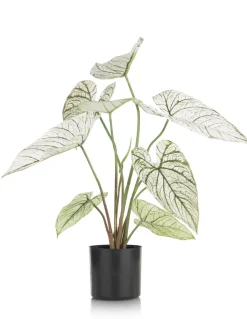 Online XOOON Caladium H60cm kunstplant in de kleur Groen - COCOmaison