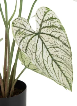 Online XOOON Caladium H60cm kunstplant in de kleur Groen - COCOmaison