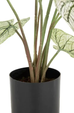 Online XOOON Caladium H60cm kunstplant in de kleur Groen - COCOmaison