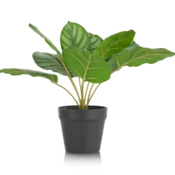 Outlet XOOON Calathea Orbifolia H45cm kunstplant in de kleur Groen