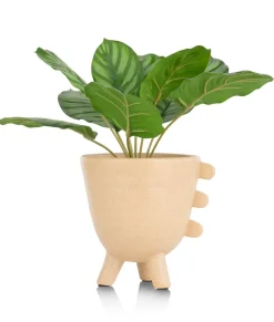 Outlet XOOON Calathea Orbifolia H45cm kunstplant in de kleur Groen