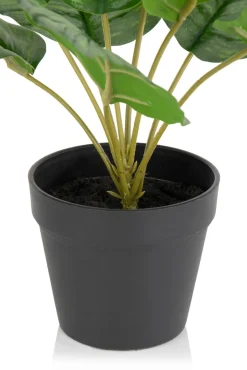 Outlet XOOON Calathea Orbifolia H45cm kunstplant in de kleur Groen