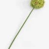 Clearance XOOON COCOmaison, Allium spray kunstbloem H90cm - Groen