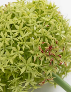Clearance XOOON COCOmaison, Allium spray kunstbloem H90cm - Groen