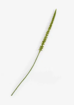 Best XOOON COCOmaison, Donkey Tail kunstbloem H86cm - Groen