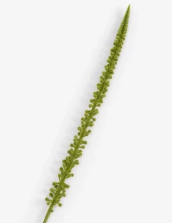 Best XOOON COCOmaison, Donkey Tail kunstbloem H86cm - Groen