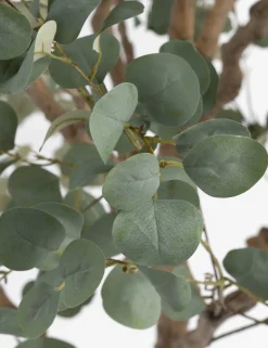 Hot XOOON COCOmaison, Eucalyptus Tree kunstplant H240cm - Groen