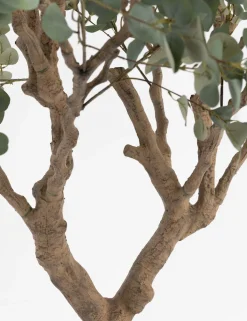 Hot XOOON COCOmaison, Eucalyptus Tree kunstplant H240cm - Groen