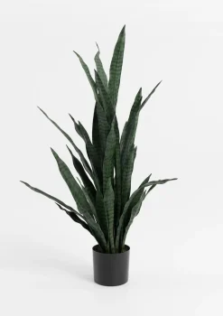 XOOON COCOmaison, Sansevieria kunstplant H115cm - Groen
