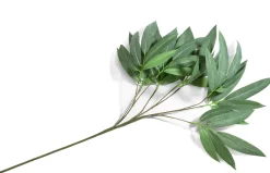 Hot XOOON Eucalyptus branch kunstplant groen H95cm - COCOmaison