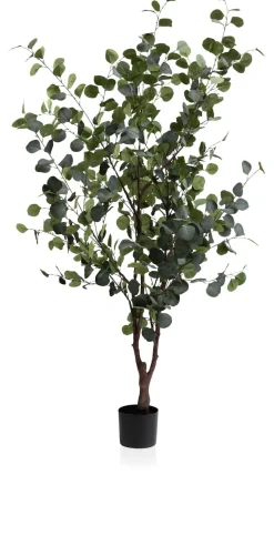 Outlet XOOON Eucalyptus Tree kunstplant (H180cm) in de kleur Groen