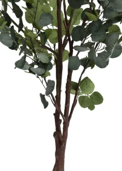 Outlet XOOON Eucalyptus Tree kunstplant (H180cm) in de kleur Groen