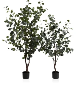 Outlet XOOON Eucalyptus Tree kunstplant (H180cm) in de kleur Groen