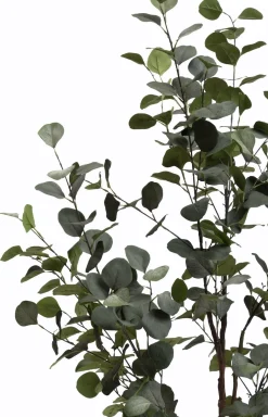 Best XOOON Eucalyptus Tree kunstplant (H140cm) in de kleur Groen