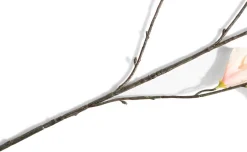 Clearance XOOON Hibiscus Branch H115cm kunstbloem in de kleur Oranje