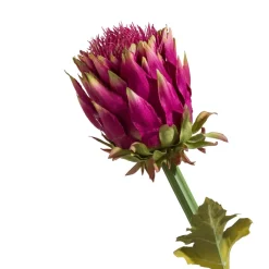 XOOON Kunstbloem 80 cm Artichoke Stem | COCOmaison