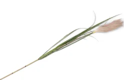 Clearance XOOON Kunstbloem h120 cm Pampus Grass | COCOmaison