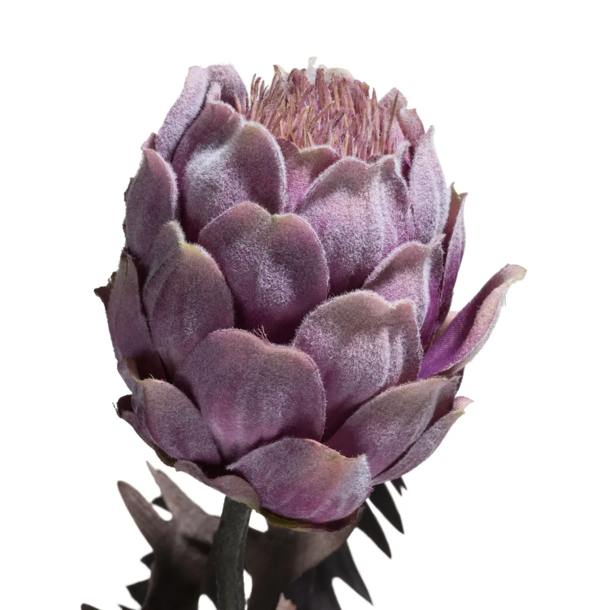 Online XOOON Kunstplant h63 cm Protea Spray | COCOmaison