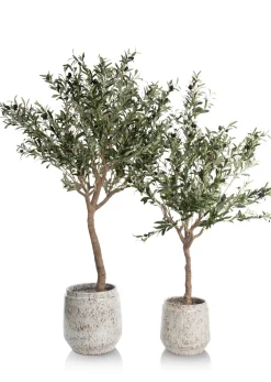 Online XOOON Olive Tree H180cm kunstplant in de kleur Groen - COCOmaison