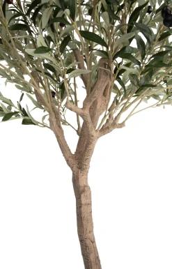Online XOOON Olive Tree H180cm kunstplant in de kleur Groen - COCOmaison