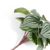 Outlet XOOON Peperomia Bush H25cm kunstbloem in de kleur Groen - COCOmaison