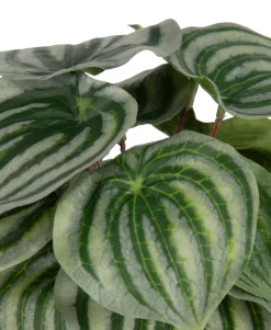Outlet XOOON Peperomia Bush H25cm kunstbloem in de kleur Groen - COCOmaison