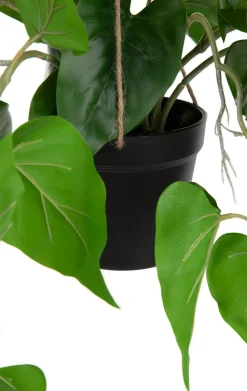 Outlet XOOON Philodendron Scandens H80cm in de kleur Groen - COCOmaison