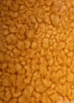 Online XOOON Safia vaas H21cm in de kleur Bruin - COCOmaison