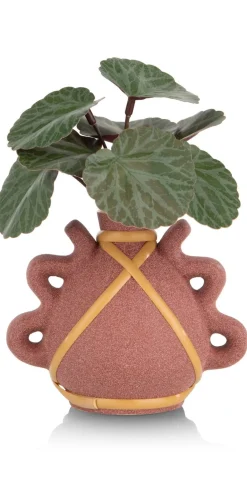 Online XOOON Saxifrage Mini Bush H13cm kunstbloem in de kleur Groen