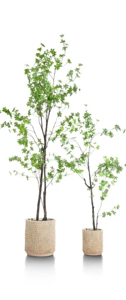 New XOOON Tropaeolum kunstplant H210cm - COCOmaison